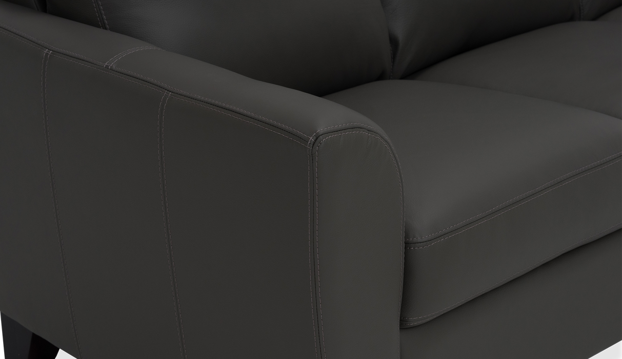 Palliser Customizable Sofa Marymount - Alexandria Virginia & Washington DC