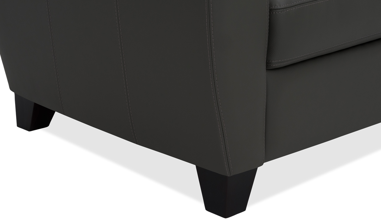 Palliser Customizable Sofa Marymount - Alexandria Virginia & Washington DC