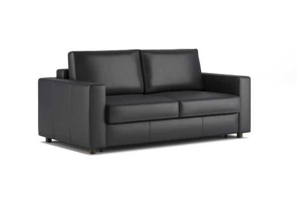 Innovation Living Neah Leather Queen Size Sleeper Sofa with Standard Arm