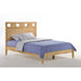 Night & Day Furniture Tamarind Queen Platform Bed with clean lines and wooden finish, showcasing the bed frame and headboard.
