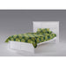 Night & Day Furniture Tarragon Queen platform bed with white finish and sleek design, shown in a modern bedroom setting.