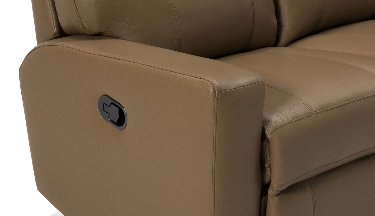 Palliser Customizable Sofa Oakwood - Alexandria Virginia & Washington DC