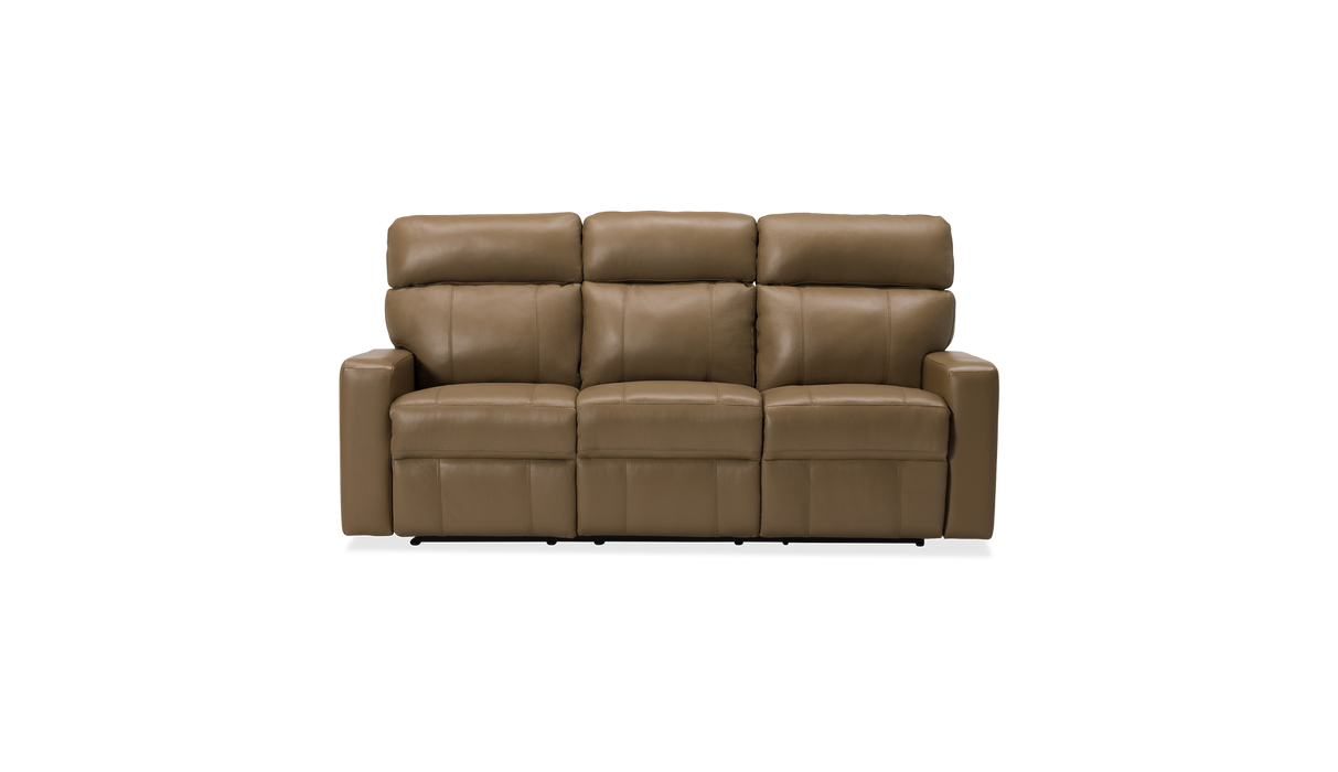 Palliser Customizable Sofa Oakwood - Alexandria Virginia & Washington DC