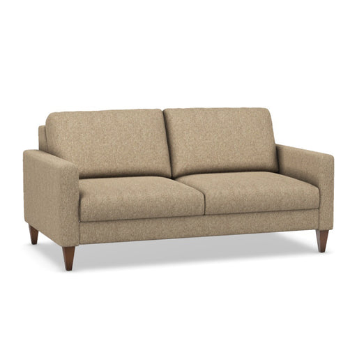 Omnia Leather Slofa The Bliss sleeper sofa with plush upholstery and modern design, shown in a living room setting.