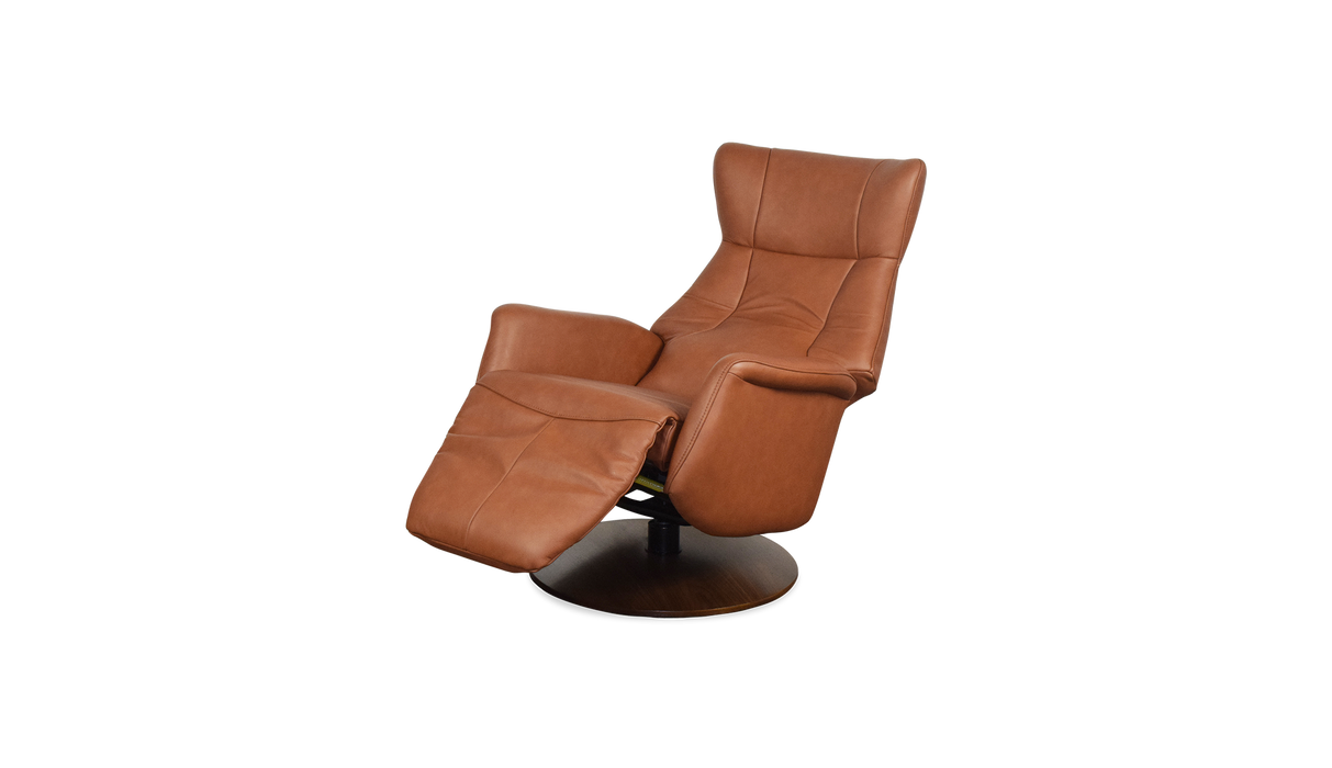 Palliser Customizable Recliners Q31 - Alexandria Virginia & Washington DC