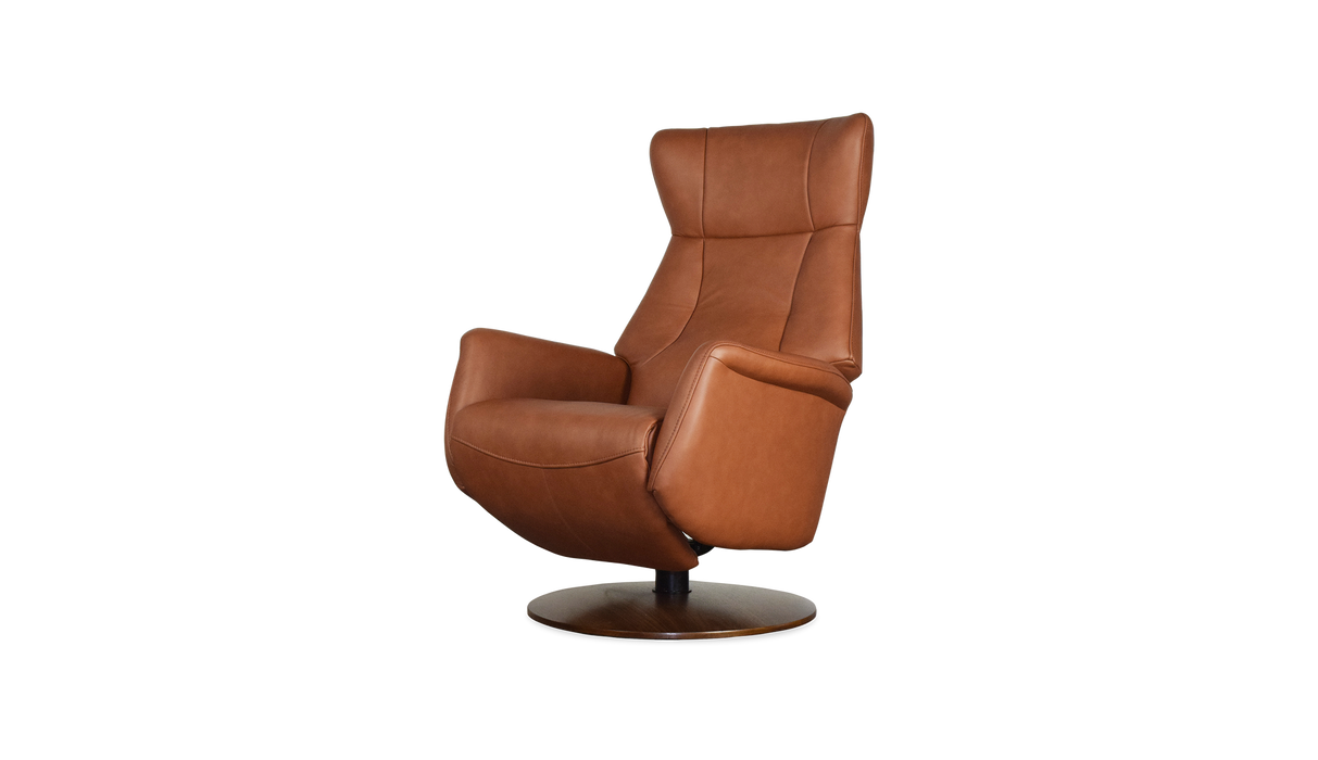 Palliser Customizable Recliners Q31 - Alexandria Virginia & Washington DC