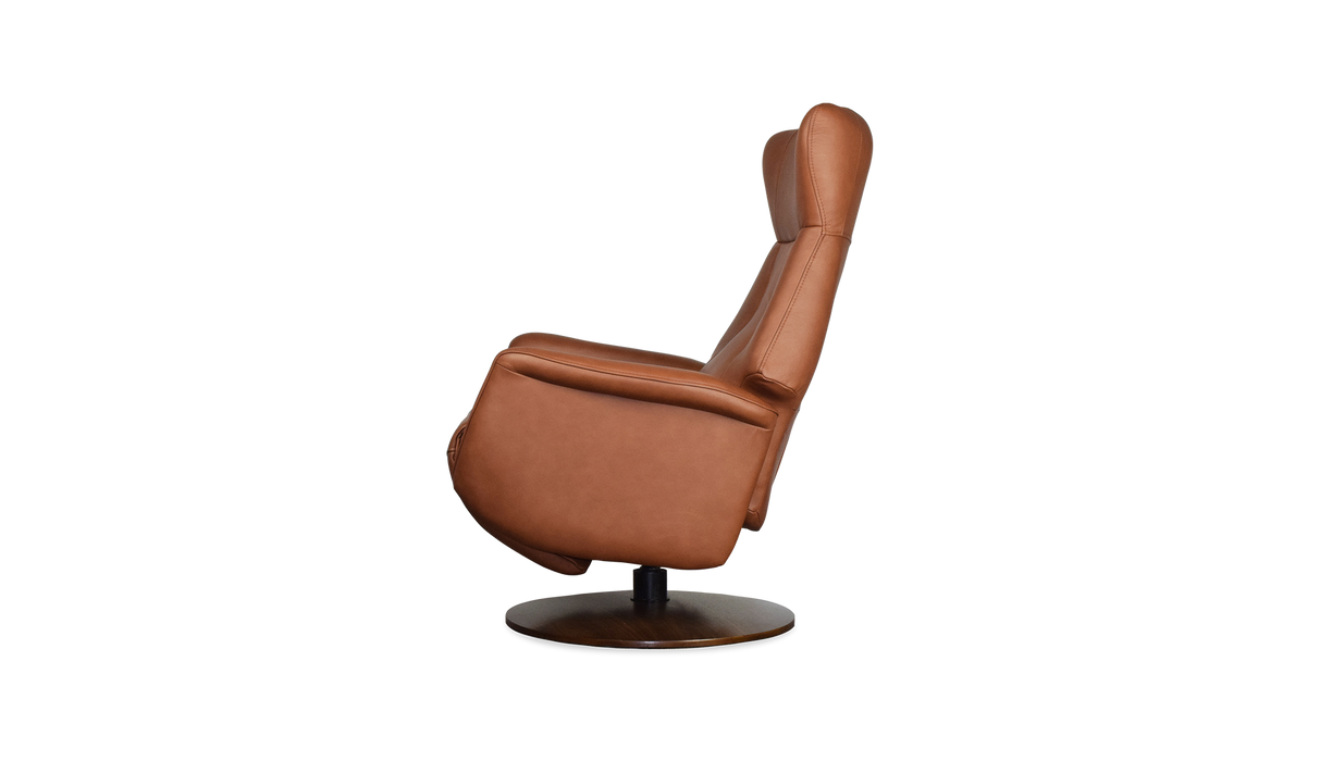 Palliser Customizable Recliners Q31 - Alexandria Virginia & Washington DC