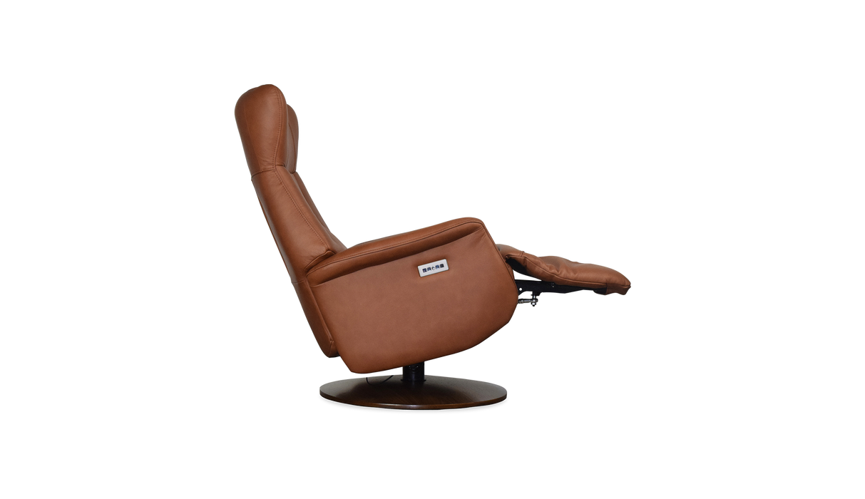 Palliser Customizable Recliners Q31 - Alexandria Virginia & Washington DC