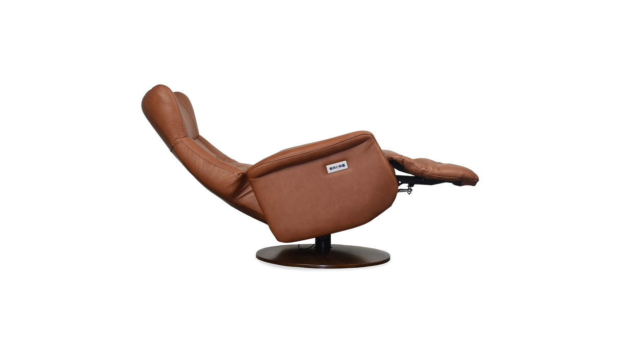 Palliser Customizable Recliners Q31 - Alexandria Virginia & Washington DC