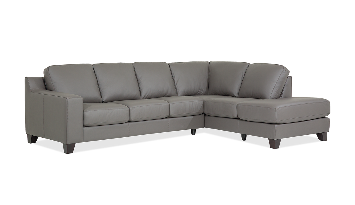 Palliser Customizable Sectional Reed - Alexandria Virginia & Washington DC