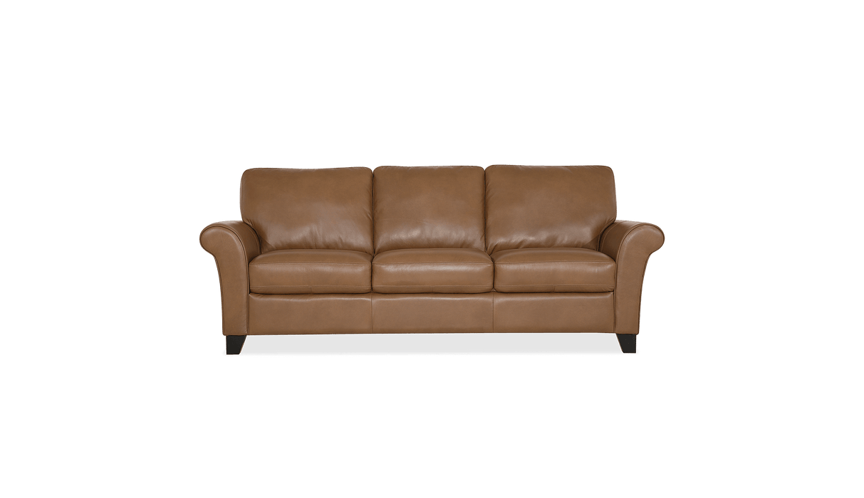 Palliser Customizable Sofa Rosebank - Alexandria Virginia & Washington DC