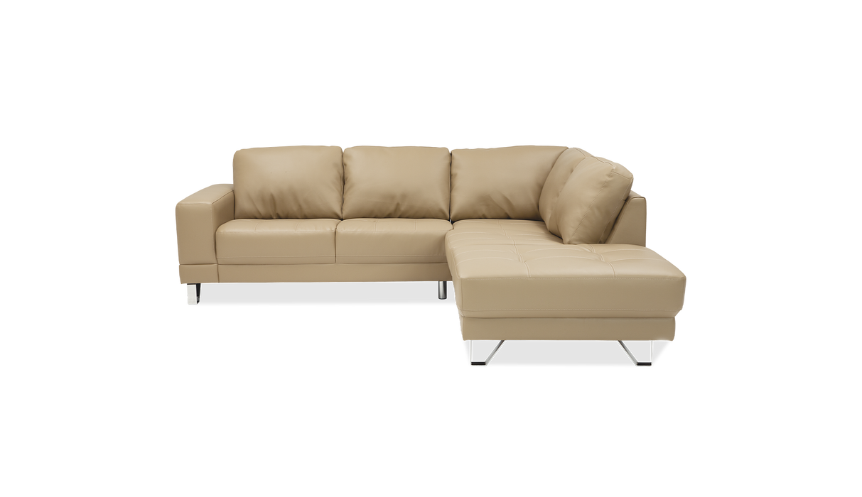 Palliser Customizable Sectional Seattle - Alexandria Virginia & Washington DC
