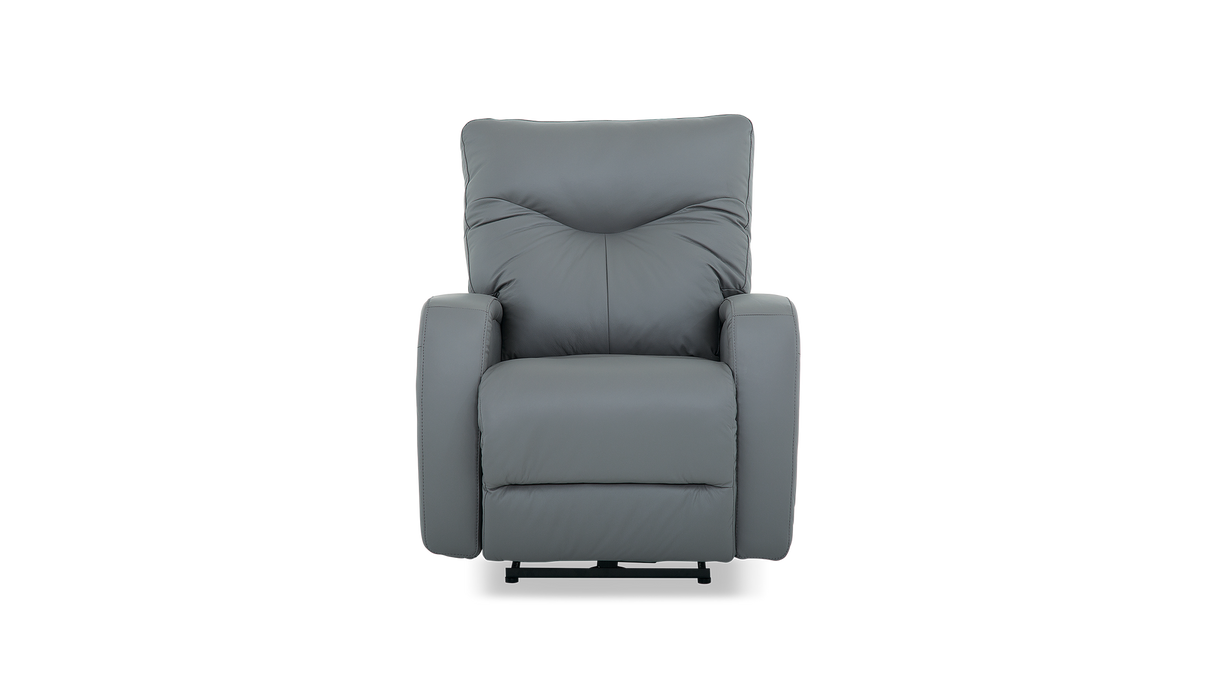 Palliser Customizable Recliners Torrington - Alexandria Virginia & Washington DC