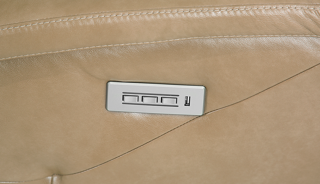 Palliser Customizable Sofa Washington - Alexandria Virginia & Washington DC