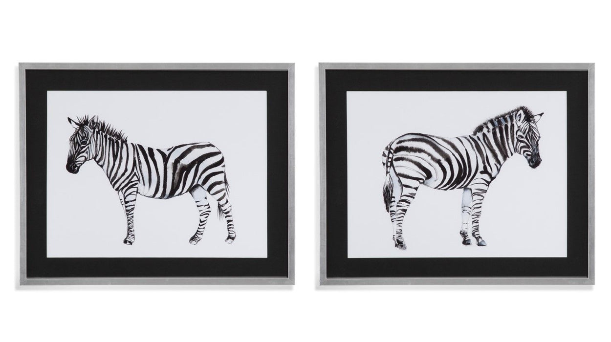 Standing Zebra I - Framed Print - Black