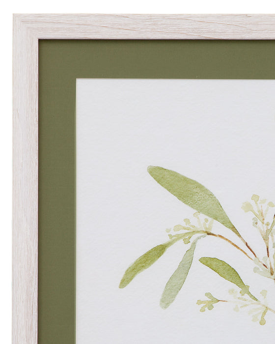 Eucalyptus Collection II - Framed Print - Beige