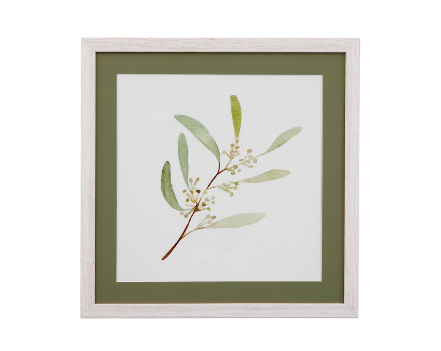 Eucalyptus Collection III - Framed Print - Beige