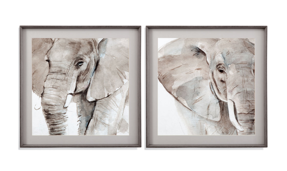 Elephant Grooves II - Framed Print - Gray
