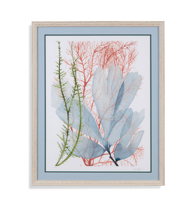 Seaweed Flow I - Framed Print - Light Blue