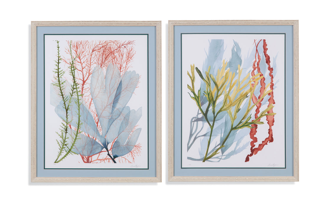 Seaweed Flow I - Framed Print - Light Blue
