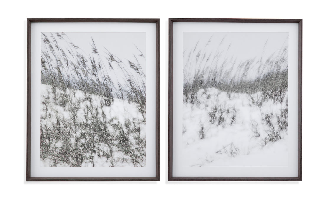 Lush Dunes III - Framed Print - Gray