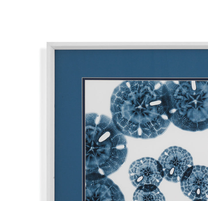 Sand Dollars - Framed Print - Blue