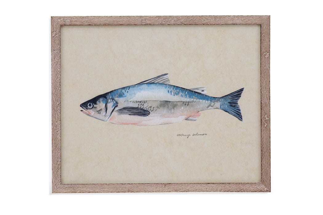Catch Of The Day IV - Framed Print - Blue