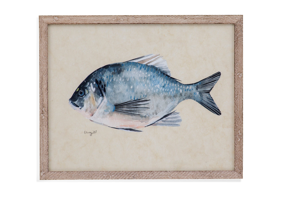 Catch Of The Day I - Framed Print - Blue