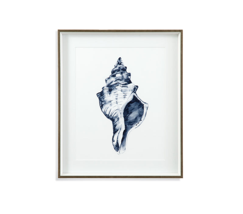 Quiet Conchin Indigo IV - Framed Print - Blue