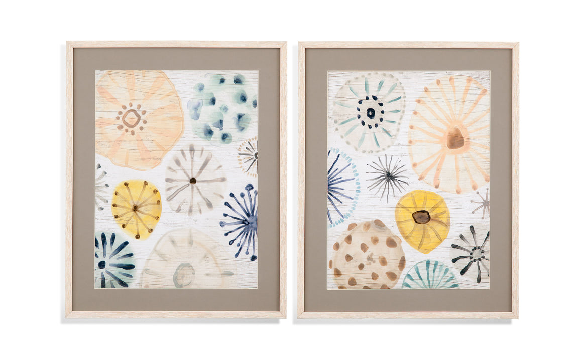 Ocean Urchins I - Framed Print - White