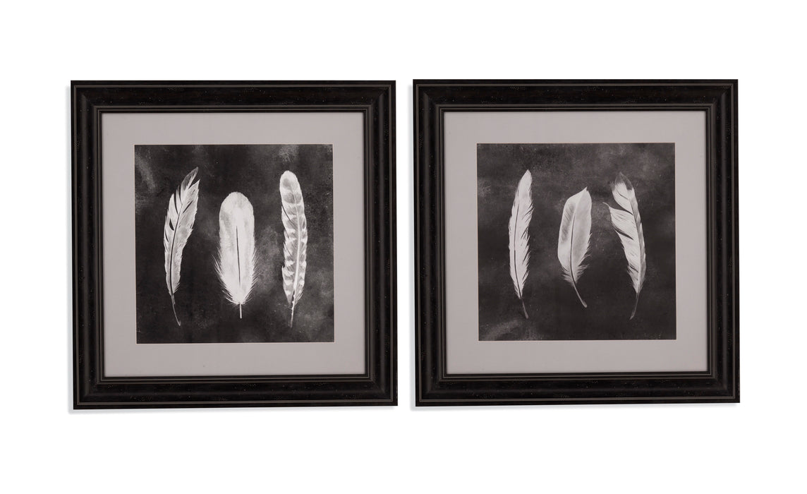 Cyanotype Feathers I - Framed Print - Black