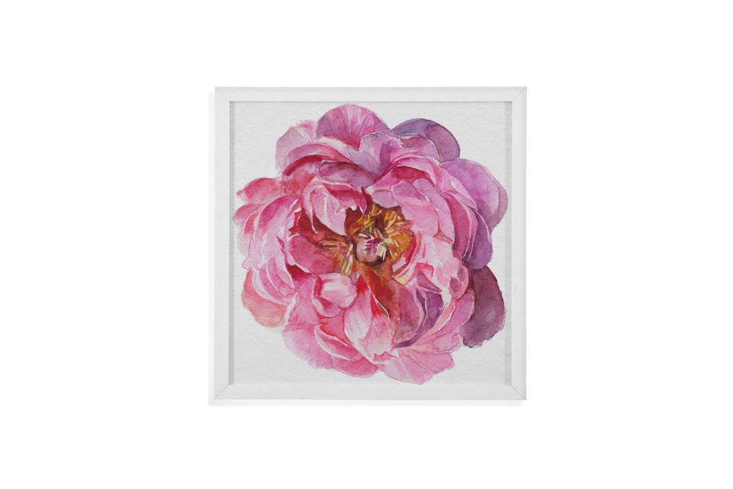 Blossomed Peony II - Framed Print - Pink