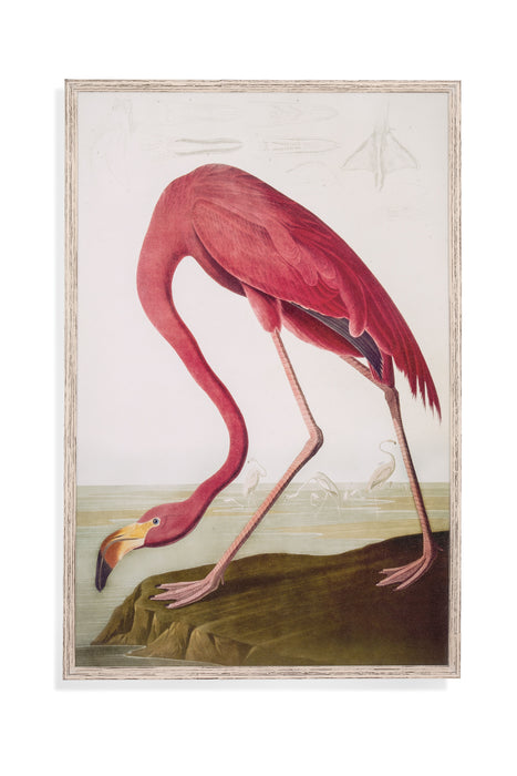 Flamingo - Framed Print - Pink