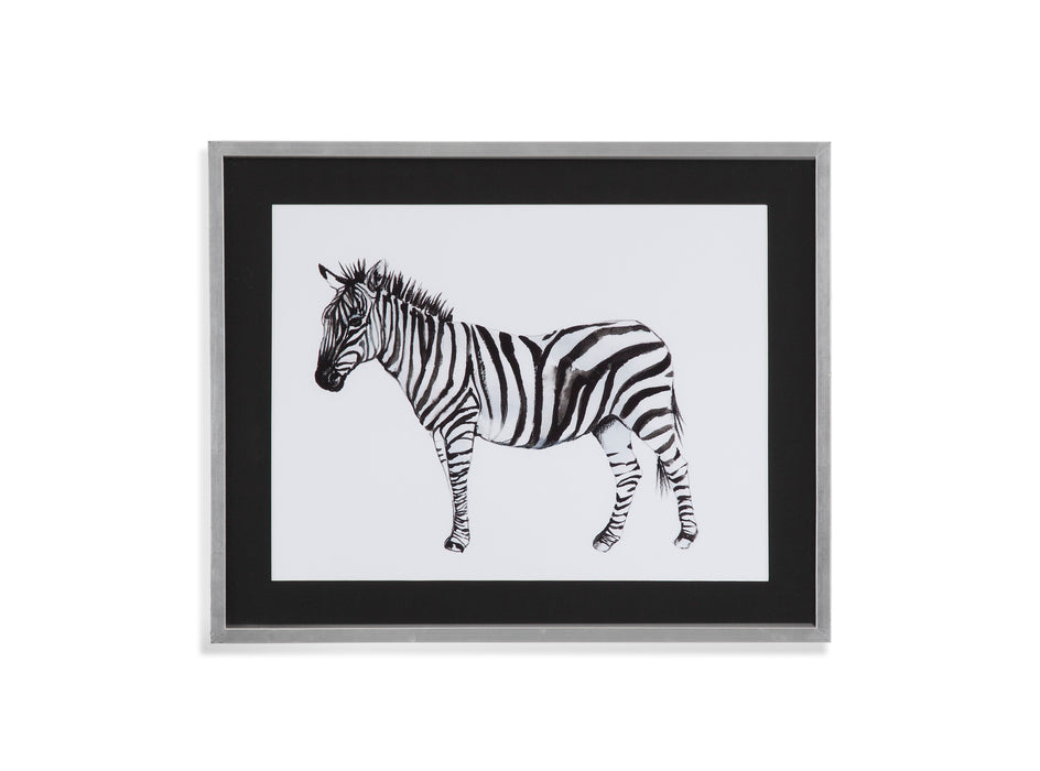 Standing Zebra II - Framed Print - Black