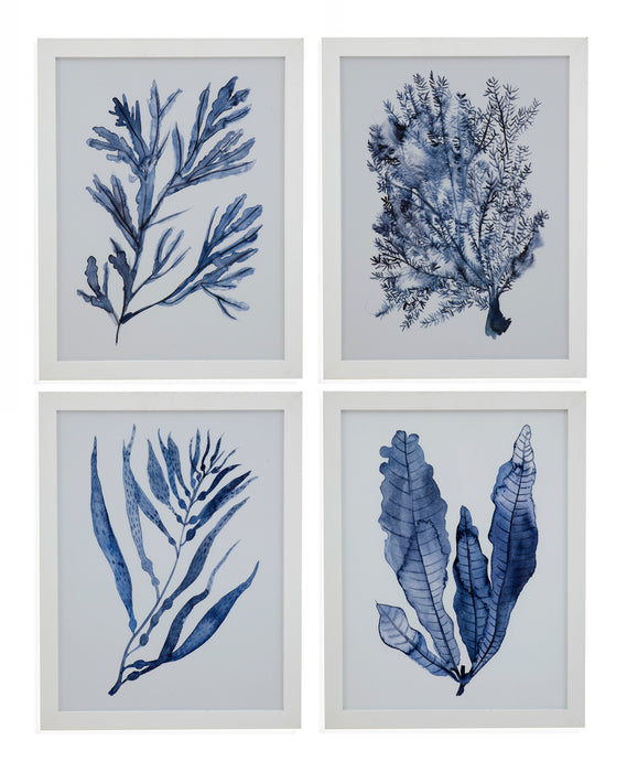 Seaweed Under Water I - Framed Print - Blue
