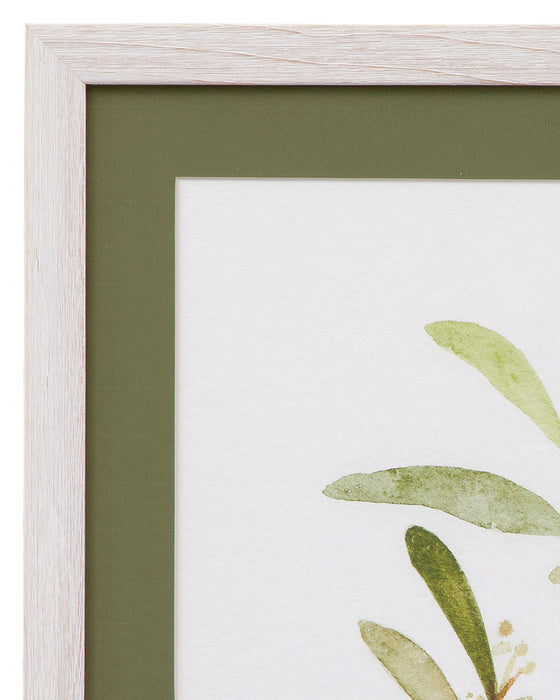 Eucalyptus Collection IV - Framed Print - Beige