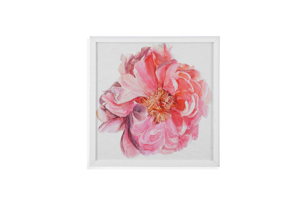 Blossomed Peony I - Framed Print - Pink