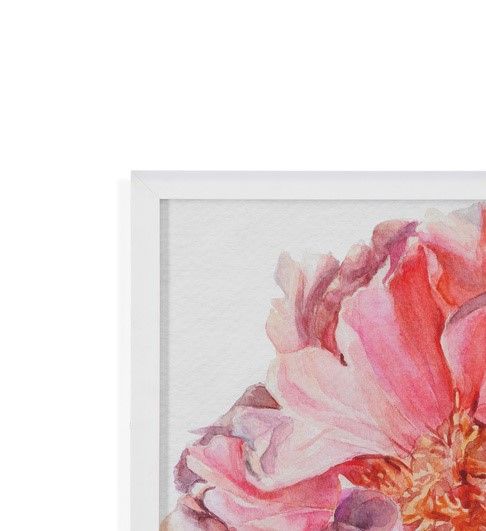 Blossomed Peony I - Framed Print - Pink