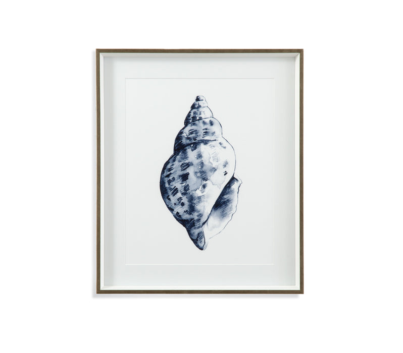 Quiet Conchin Indigo II - Framed Print - Blue