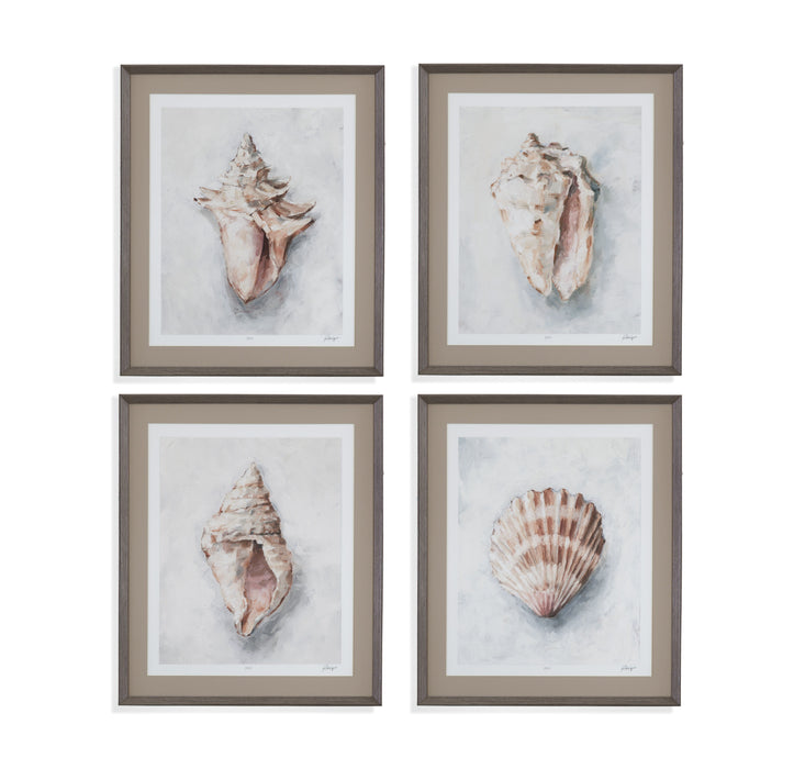 White Shell Study IV - Framed Print - Beige