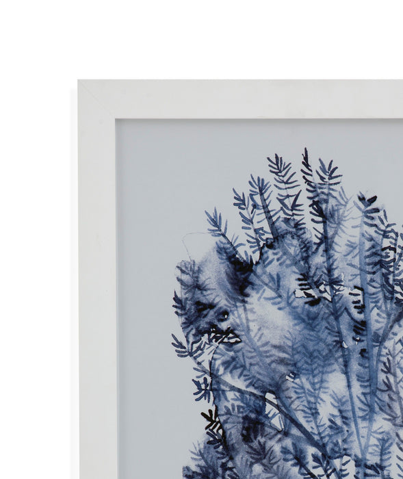 Seaweed Under Water II - Framed Print - Blue