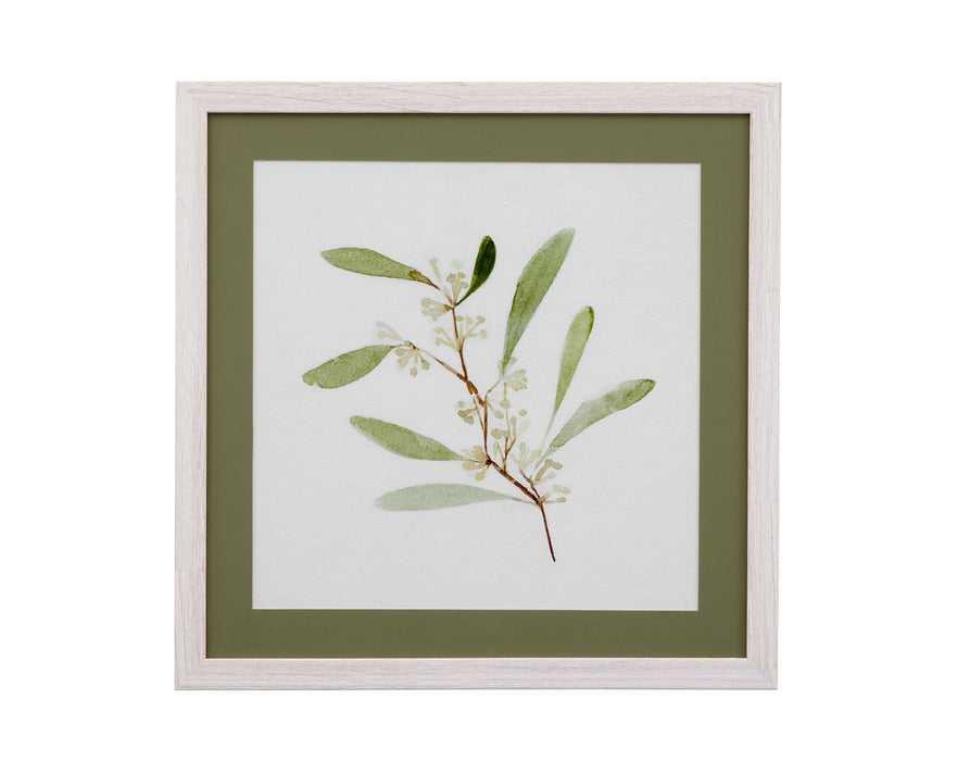 Eucalyptus Collection I - Framed Print - Beige