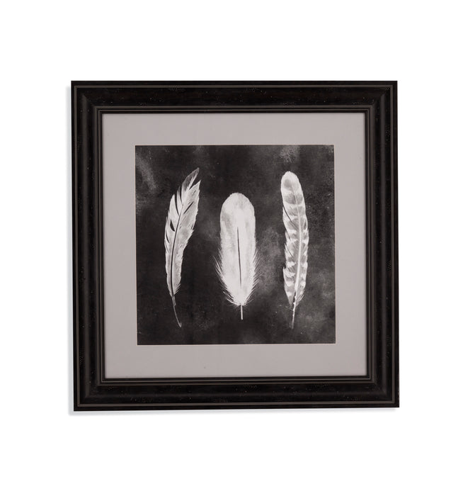 Cyanotype Feathers I - Framed Print - Black