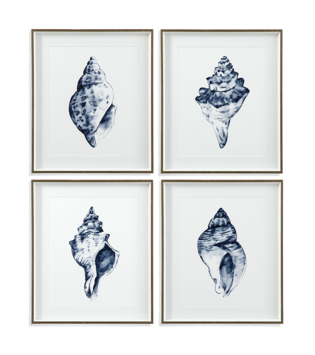 Quiet Conchin Indigo I - Framed Print - Blue