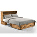 Night & Day Furniture Ranchero Murphy Cabinet Bed - Bakar
